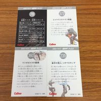 カルビー仮面ライダーカード まとめ 仮面ライダー 1号 8 サムネイル 6