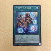 Yu-Gi-Oh Amazoness Secret Spell Card Lot Rare サムネイル 3