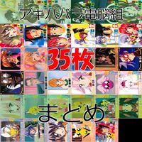 Akihabara Denshoku Card Lot Amada Semi Complete