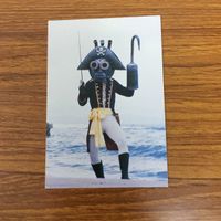 特撮ヒーロー カード まとめ ゴレンジャー 14 サムネイル 6