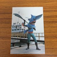 特撮ヒーロー カード まとめ ゴレンジャー 14 サムネイル 4