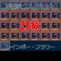 レインボー・フラワー 25枚 型番統一 コレクション ノーマル 遊戯王 まとめ 2期 初期