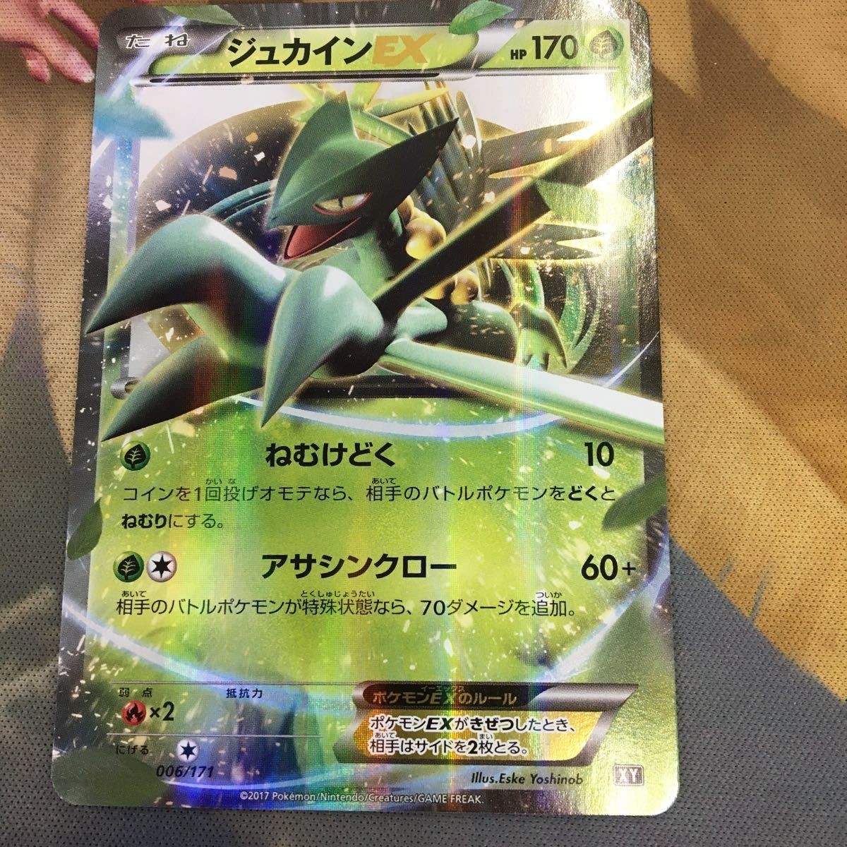 ポケモンカード 新裏面 1枚 ジュカイン 006/171 3