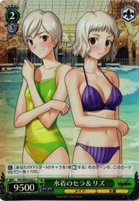 【状態C】ホロカード 水着のセラ＆リズ ヴァイスシュヴァルツ FATE カード サムネイル 1
