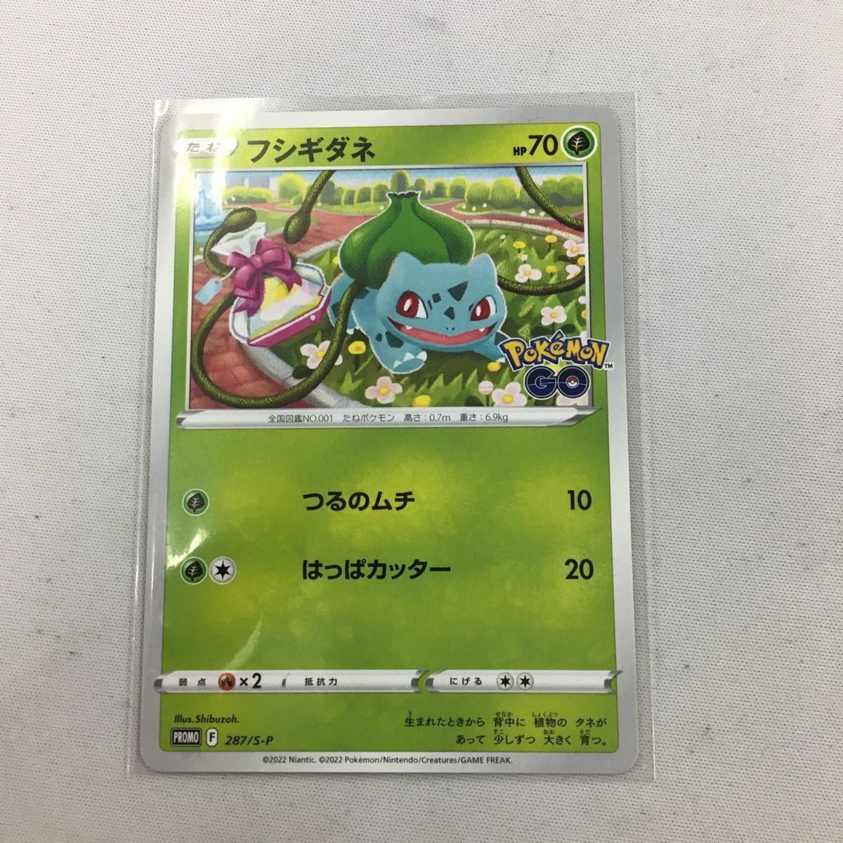 ポケモンカード 新裏面 プロモ フシギダネ 4
