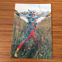 仮面ライダー カード まとめ 70 サムネイル 2