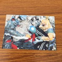 仮面ライダー カード まとめ 70 サムネイル 4