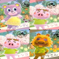 あつまれ どうぶつの森 カード まとめ 箔押し バンダイ あつ森 あつもり bp969 サムネイル 2