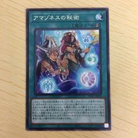 遊戯王 字レア カード トレーディングカード アマゾネスの秘術 まとめ サムネイル 7
