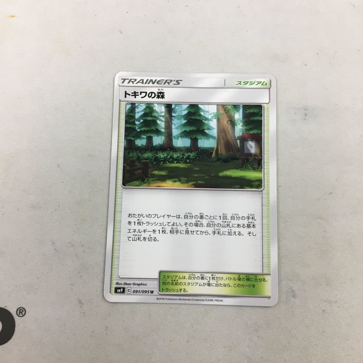 ポケモンカード 新裏面 トキワの森 62