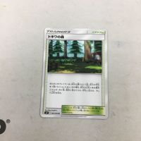 ポケモンカード 新裏面 トキワの森 62 サムネイル 1