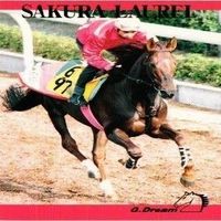 Gドリーム カードコレクション 競馬 サクラローレル サラブレッド 箔押し カード まとめ サムネイル 4