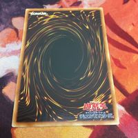 IT220628-1697 幻想の見習い魔導師 ウルトラレア VJMP-JP122 遊戯王 サムネイル 5