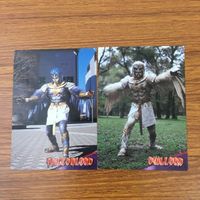 トレカ カード まとめ 仮面ライダー アギト クロウロード アナザーアギト リザードロード オウルロード ファルコンロード 13 サムネイル 3
