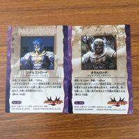 トレカ カード まとめ 仮面ライダー アギト クロウロード アナザーアギト リザードロード オウルロード ファルコンロード 13 サムネイル 4