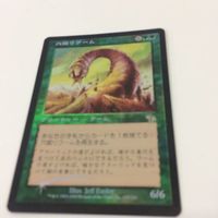 MTG マジックザギャザリング まとめ まとめ穴掘りワーム まとめホジューカの沼38 まとめ聖遺の塔39 シヴ山の サムネイル 4