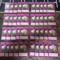 燦幻開花 さんげんカイホウ 天盃龍 型番統一 遊戯王 まとめ ノーマル INFO