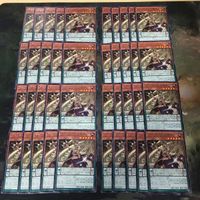 Yu-Gi-Oh Amazoness Whip User DP27-JP030 40 Cards Lot