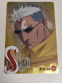 鋼の錬金術師 カード スカー ハガレン