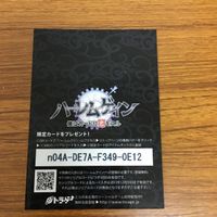 ハーレムゲイン カード トレカ 南国のタイガ 47 サムネイル 2