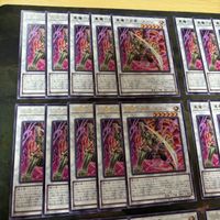 真魔六武衆 エニシ 型番統一 40枚 ROTA-JP040 字レア まとめ 遊戯王 シャドーボックス 無限回収 サムネイル 2