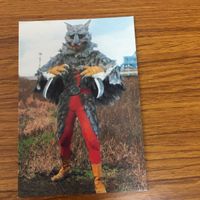 カルビー 仮面ライダー カード まとめ 25 サムネイル 5