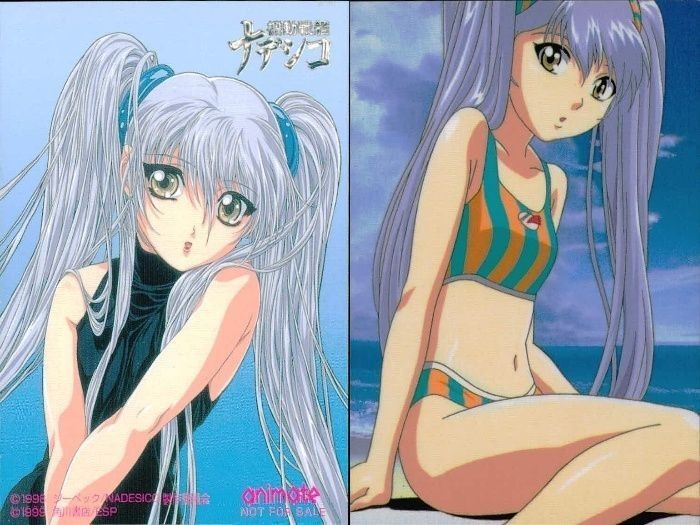 カード 機動戦艦 ナデシコ 非売品 まとめ ホシノルリ ルリ アニメイト アニメディア プロモ fksi 1124