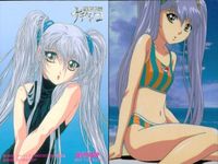 カード 機動戦艦 ナデシコ 非売品 まとめ ホシノルリ ルリ アニメイト アニメディア プロモ fksi 1124