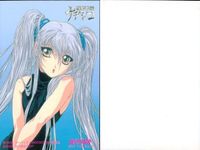 カード 機動戦艦 ナデシコ 非売品 まとめ ホシノルリ ルリ アニメイト アニメディア プロモ fksi 1124 サムネイル 2