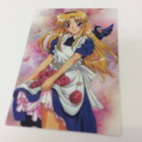 トレーディングカード カード マイナーカード 非売品 レア キラ プロモ アニメ 美少女 ゲーム ランス 黒狼フェンリル サムネイル 3