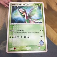 ポケモンカードvs 新裏面 1枚 ファウンスのトロピウス ふみつけ ソーラービーム 21