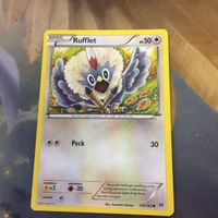 ポケモンカード 旧裏面 海外 英語版 韓国語版 ヨーテリー ワシボン リングマ オドシシ 9 17 15 86 サムネイル 4
