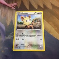 ポケモンカード 旧裏面 海外 英語版 韓国語版 ヨーテリー ワシボン リングマ オドシシ 9 17 15 86 サムネイル 2