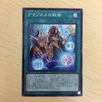 遊戯王 字レア カード トレーディングカード アマゾネスの秘術 まとめ サムネイル 3