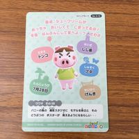 トレカ カード まとめ どうぶうの森 どう森 たいへいた ケンタ リアーナ マコト カモミ トンコ 53 サムネイル 10
