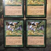 MTG マジックザギャザリング カード まとめ APC ガイアの均衡/Gaea's Balance 4枚セット 96 サムネイル 2