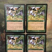 MTG マジックザギャザリング カード まとめ APC ガイアの均衡/Gaea's Balance 4枚セット 96 サムネイル 3