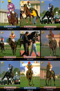 競馬 カード ホースレーシング まとめ パルブライト ノーザンウェー ダイワオーシュウ ルールファスト ステイゴールド パルスビート ダイワオーシュウ エリモシック シャコーテスコ バンダイ サムネイル 1