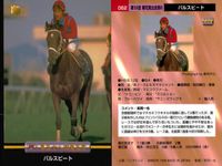 競馬 カード ホースレーシング まとめ パルブライト ノーザンウェー ダイワオーシュウ ルールファスト ステイゴールド パルスビート ダイワオーシュウ エリモシック シャコーテスコ バンダイ サムネイル 7