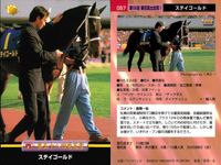 競馬 カード ホースレーシング まとめ パルブライト ノーザンウェー ダイワオーシュウ ルールファスト ステイゴールド パルスビート ダイワオーシュウ エリモシック シャコーテスコ バンダイ サムネイル 6