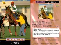 競馬 カード ホースレーシング まとめ パルブライト ノーザンウェー ダイワオーシュウ ルールファスト ステイゴールド パルスビート ダイワオーシュウ エリモシック シャコーテスコ バンダイ サムネイル 3