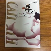 Final Fantasy VII Card Lot Trading Card Game サムネイル 5
