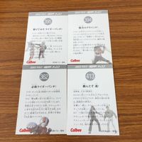 仮面ライダー カード まとめ カルビー 仮面ライダー 1号 11 サムネイル 6