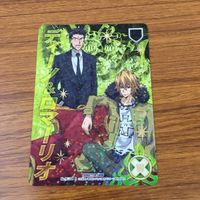 カード トレカ まとめ 家庭教師ヒットマン REBORN リボーン キャラクターカードゲーム ディーノ ロマーリオ 箔押し レア 14 サムネイル 7