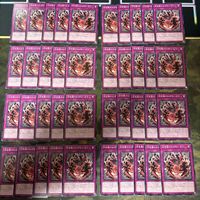 白き森のわざわいなり 型番統一 遊戯王 まとめ ノーマル INFO