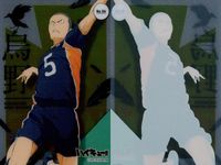 カード まとめ ハイキュー ぱしゃこれ 澤村大地 影山飛雄 月島蛍 西谷夕 縁下力 木兎光太郎 No.02 06 09 13 23 35 39 41 10 14 クリア ウエハース サムネイル 4