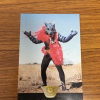仮面ライダー カード まとめ 87 サムネイル 6