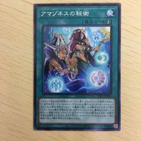 遊戯王 字レア カード トレーディングカード アマゾネスの秘術 まとめ サムネイル 3