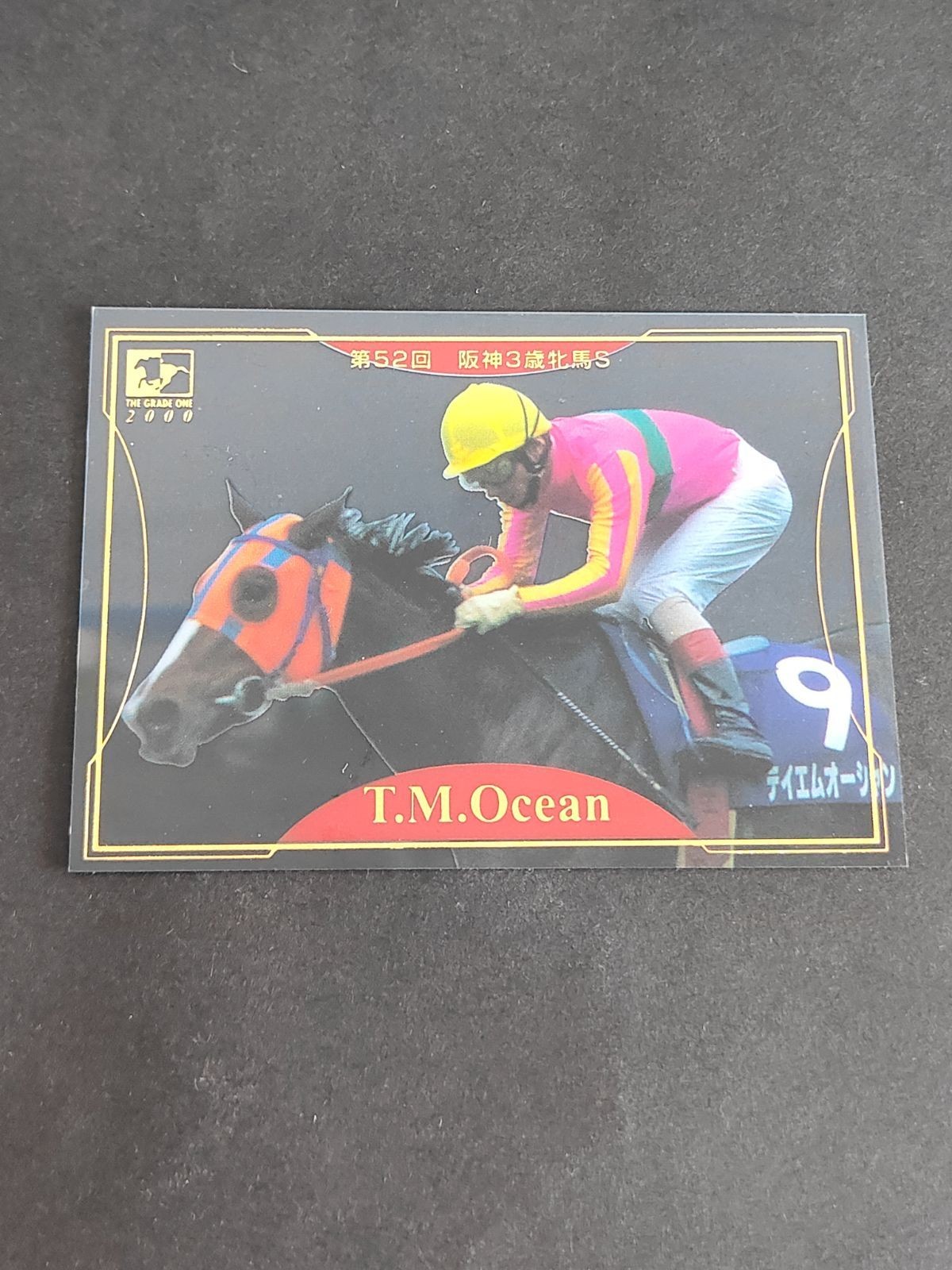 テイエムオーシャン カード C19 クリアカード G1 競馬