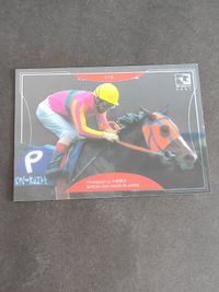 テイエムオーシャン カード C19 クリアカード G1 競馬 サムネイル 2